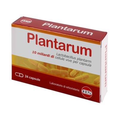 Lactobacillus Plantarum 24 capsule